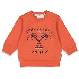 Overview image: FEETJE Sweater Sun Chasers