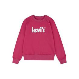 Overview image: Levi's sweater LVG poster logo
