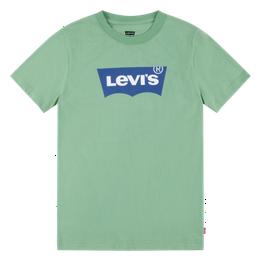 Overview image: Levi's shirt Meadow