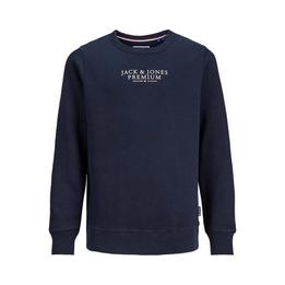 Overview image: J&J sweater JPRBLUARCHIE navy 