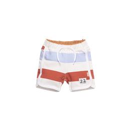 Overview image: BESS Shorts Striped