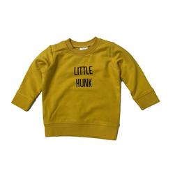 Overview image: TOET sweater little hunk