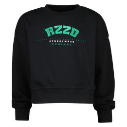Overview image: Raizzed sweater Lincoln zwart