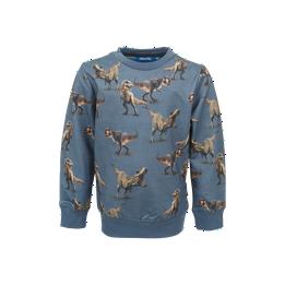 Overview image: Someone sweater BRONTO blauw