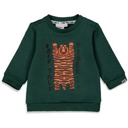 Overview image: Feetje sweater Talking Tiger